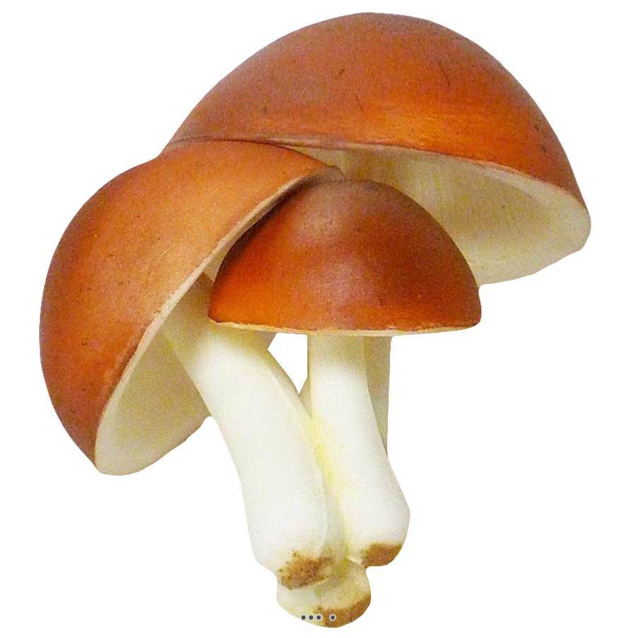 Artificielles - Champignons artificiels Shiitake X3 mousse PU superbe - Imagen 1