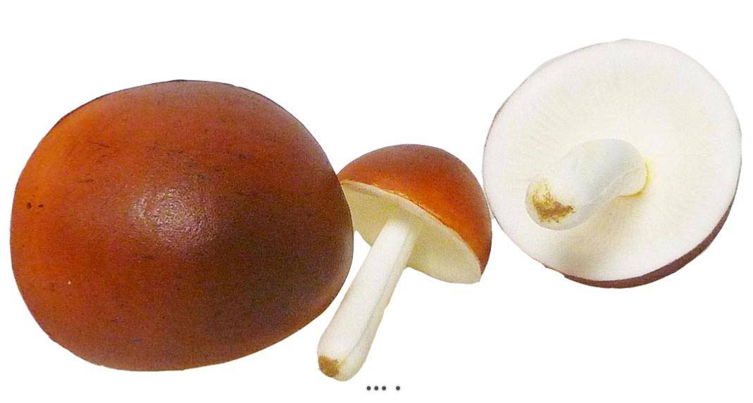 Artificielles - Champignons artificiels Shiitake X3 mousse PU superbe - Imagen 3