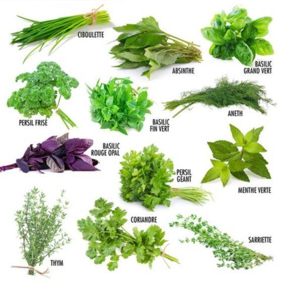 Radis et Capucine - Radis et Capucine - Enveloppe 12 sachets - Aromates à semer - Imagen 5
