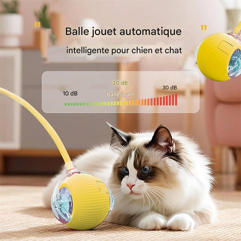 DtopbuyAge - Jouet à bille roulante pour chat DtopbuyAge - Image 4