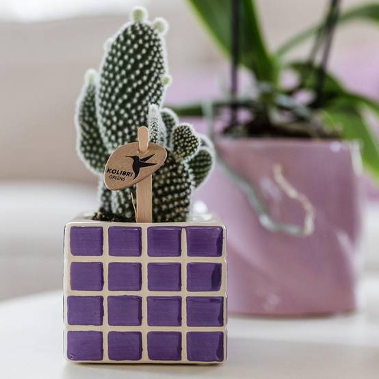 Pot décoratif Mosa - Lilac- La Green Touch - Image 2