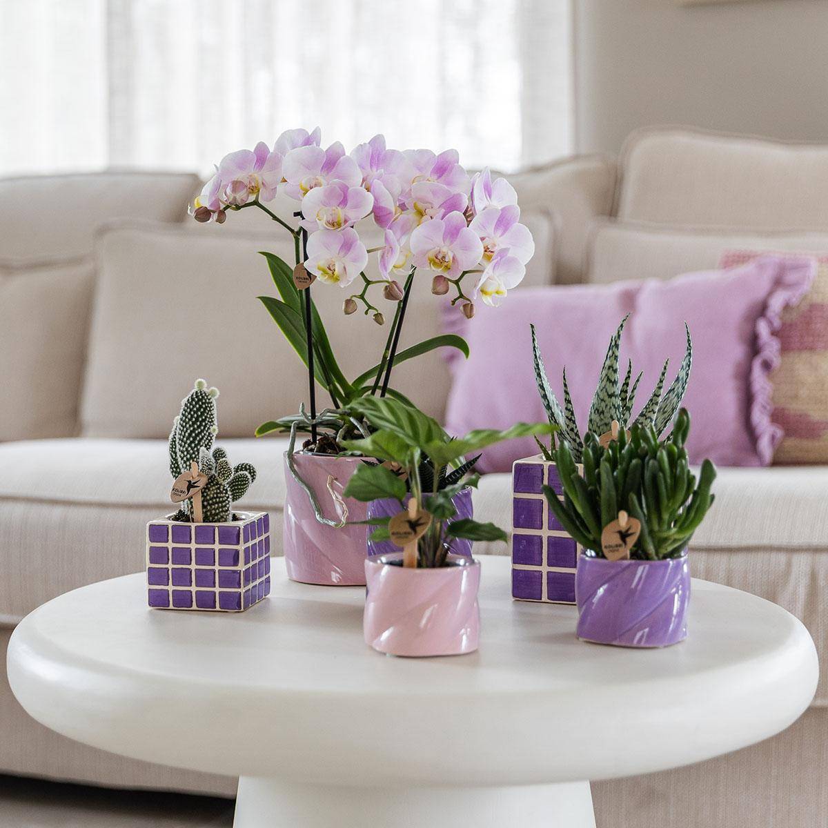 Pot décoratif Mosa - Lilac- La Green Touch - Image 7