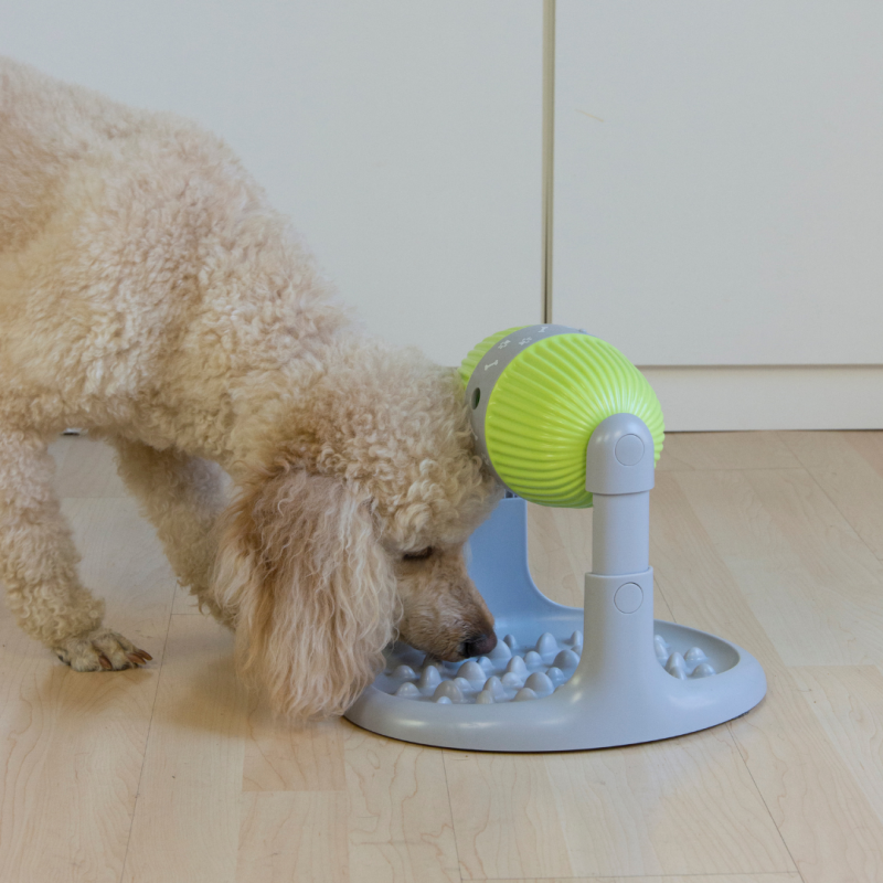 Distributeur Pet Slow Feeder - VENTEO - Gamelle Anti-glouton - Jeux intelligent - Distributeur de croquette - Gamelle pour Chats et chiens - Anti-déra - Image 9