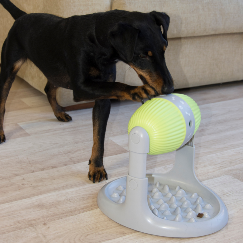 Distributeur Pet Slow Feeder - VENTEO - Gamelle Anti-glouton - Jeux intelligent - Distributeur de croquette - Gamelle pour Chats et chiens - Anti-déra - Image 6