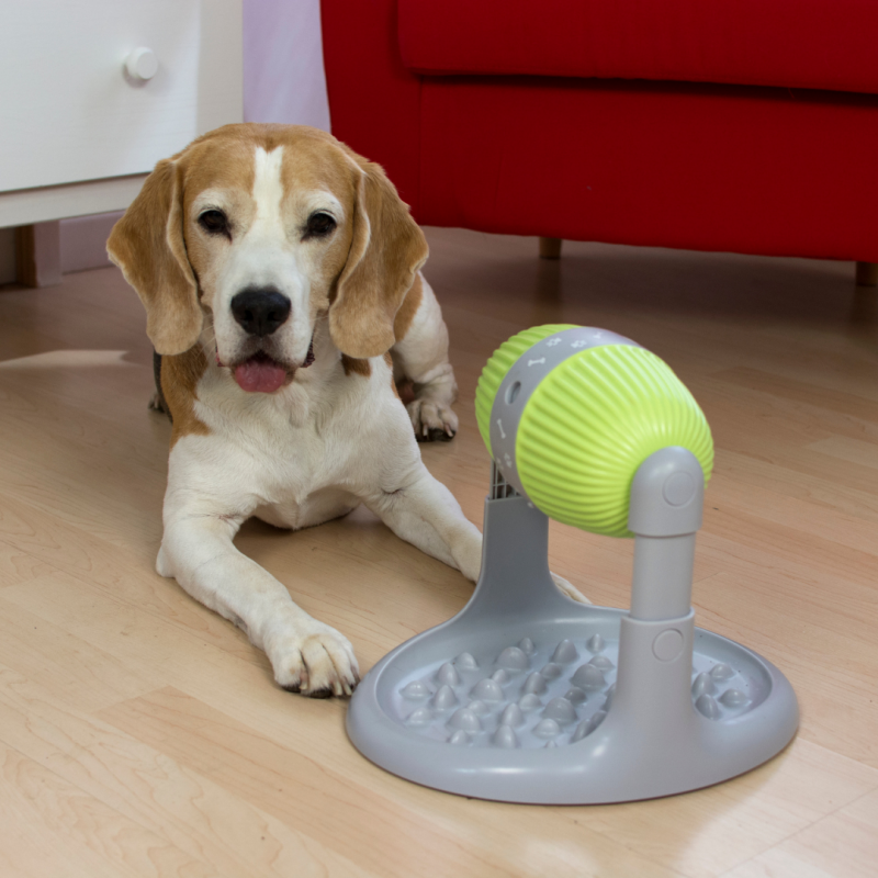 Distributeur Pet Slow Feeder - VENTEO - Gamelle Anti-glouton - Jeux intelligent - Distributeur de croquette - Gamelle pour Chats et chiens - Anti-déra - Image 7