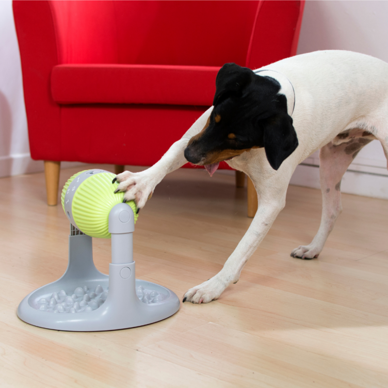 Distributeur Pet Slow Feeder - VENTEO - Gamelle Anti-glouton - Jeux intelligent - Distributeur de croquette - Gamelle pour Chats et chiens - Anti-déra - Image 8