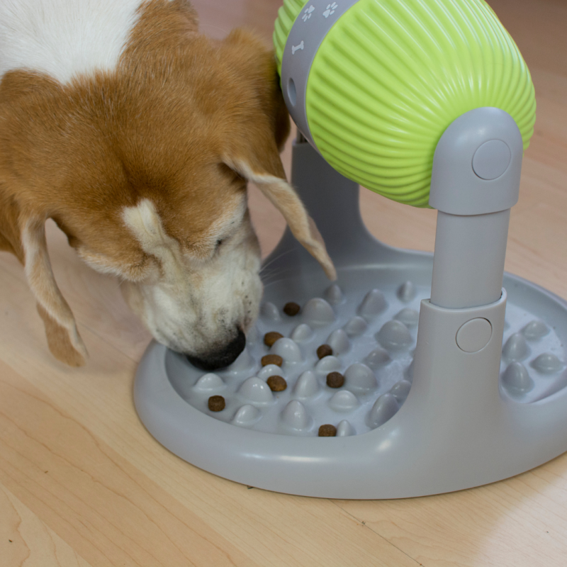 Distributeur Pet Slow Feeder - VENTEO - Gamelle Anti-glouton - Jeux intelligent - Distributeur de croquette - Gamelle pour Chats et chiens - Anti-déra - Image 10