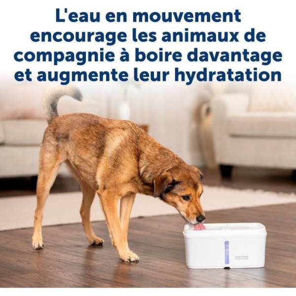 Petsafe - Fuente de agua - PETSAFE - VIVA - 4,1 L - Blanco - Imagen 2
