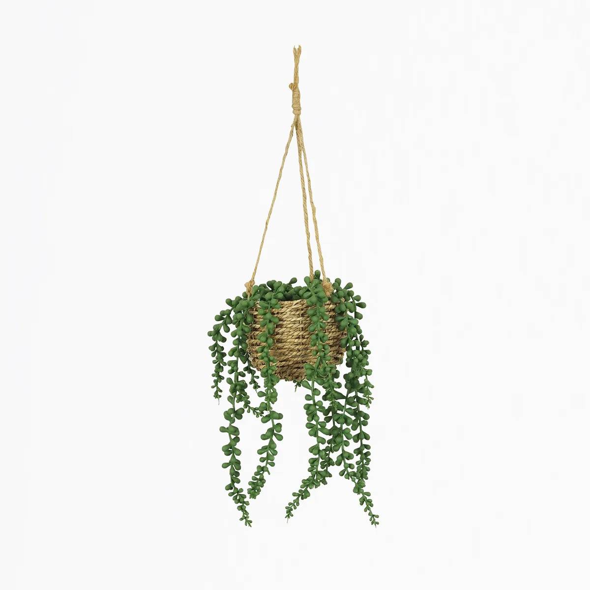 Ligne Deco - Succulente artificielle suspension 60cm - Image 2