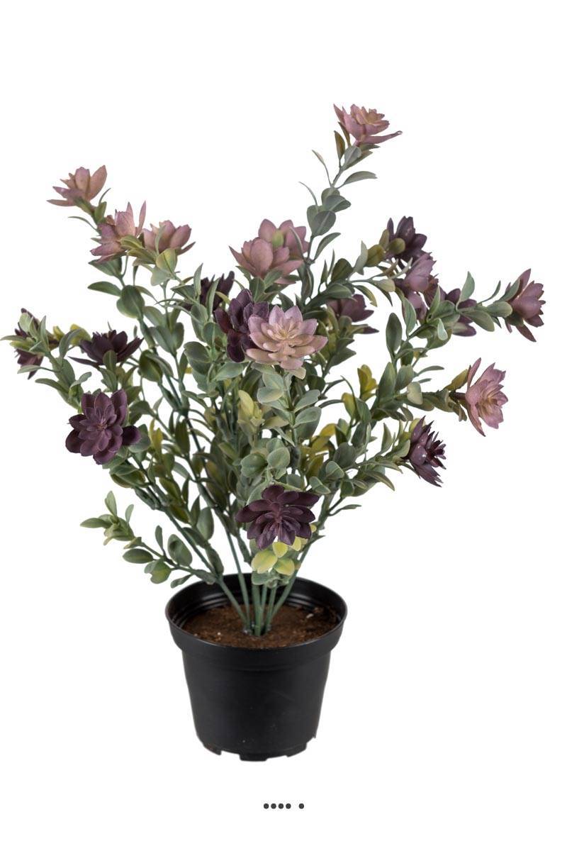 Artificielles - Succulente fleurie factice en pot cactée Violet H30cm D25cm plastique - Imagen 2
