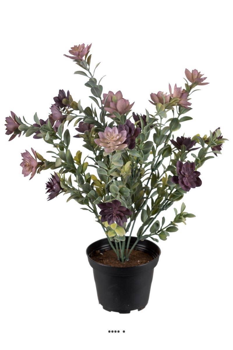 Artificielles - Succulente fleurie factice en pot cactée Violet H30cm D25cm plastique - Imagen 1