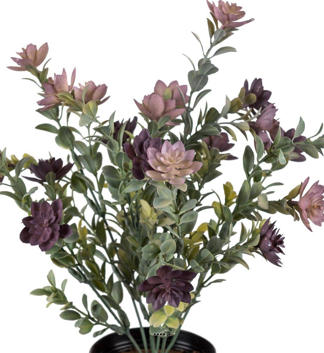 Artificielles - Succulente fleurie factice en pot cactée Violet H30cm D25cm plastique - Imagen 3