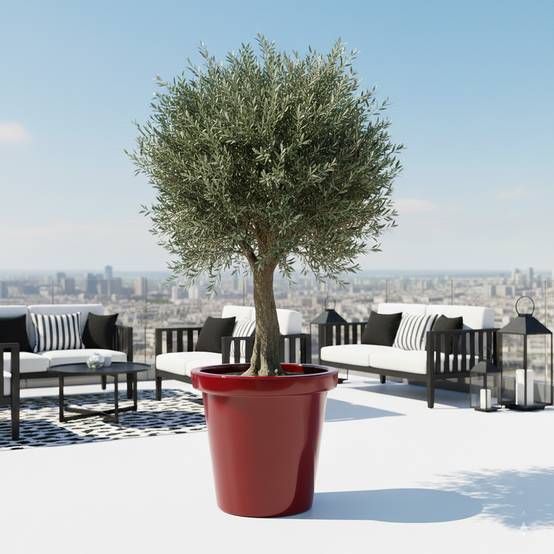 Pot de fleurs 420l delight - plast'up rotomoulage - Image 2