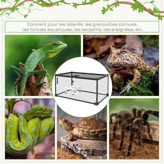 Terrarium pour reptiles verre transparents 50 x 30 x 25 cm - PANGIVO - Image 9