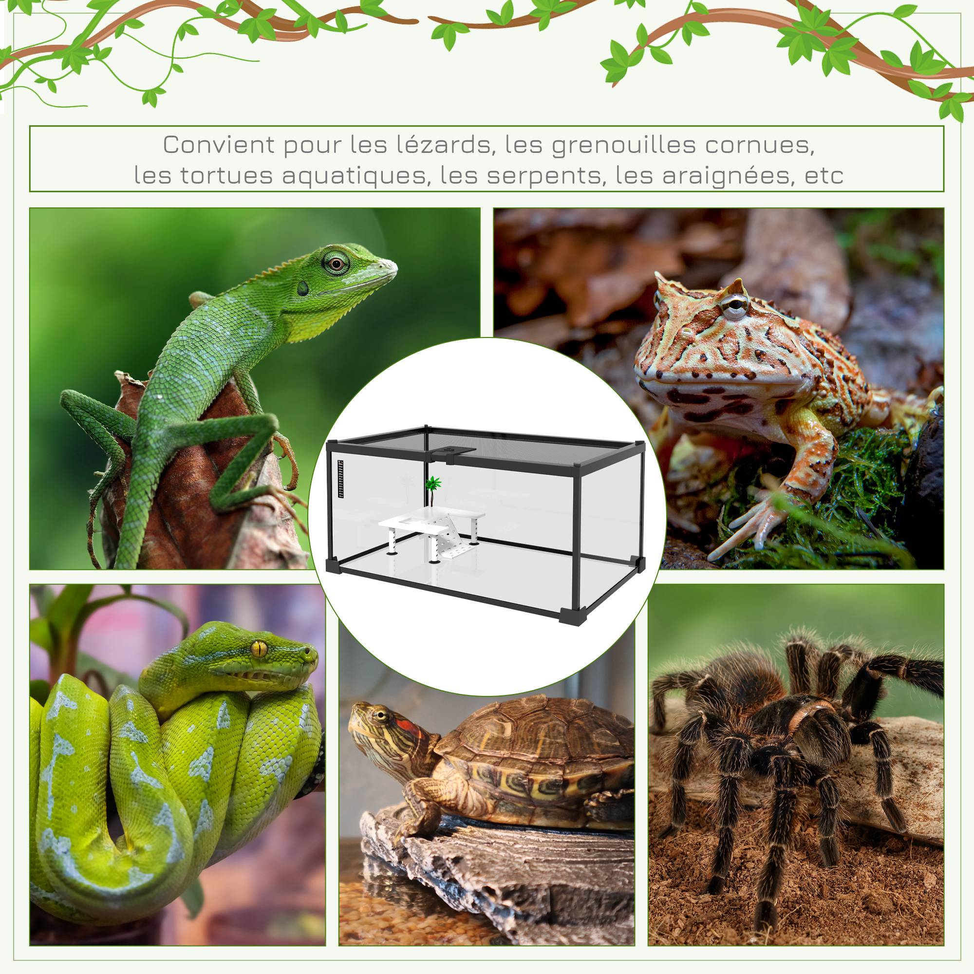 Terrarium pour reptiles verre transparents 50 x 30 x 25 cm - PANGIVO - Image 9