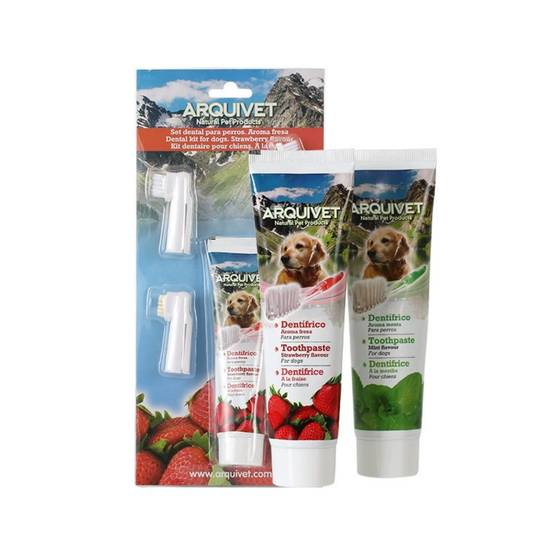 IntiMeg - Ensemble de brosses à dents pour chien Saveur menthe IntiMeg - Image 4