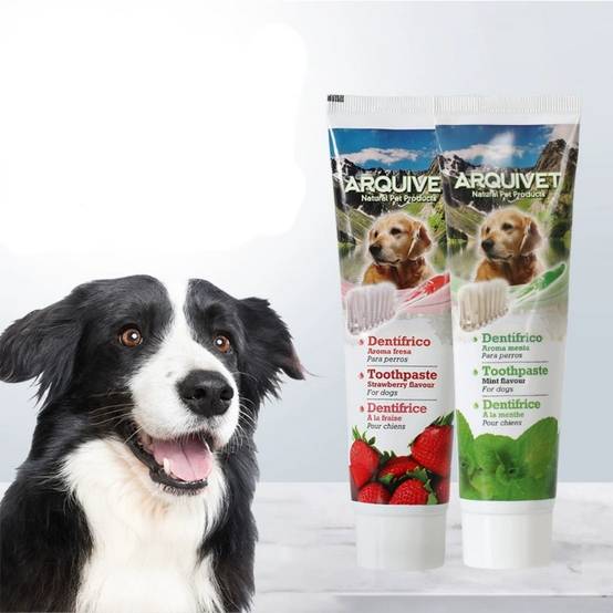 IntiMeg - Ensemble de brosses à dents pour chien Saveur menthe IntiMeg - Image 1