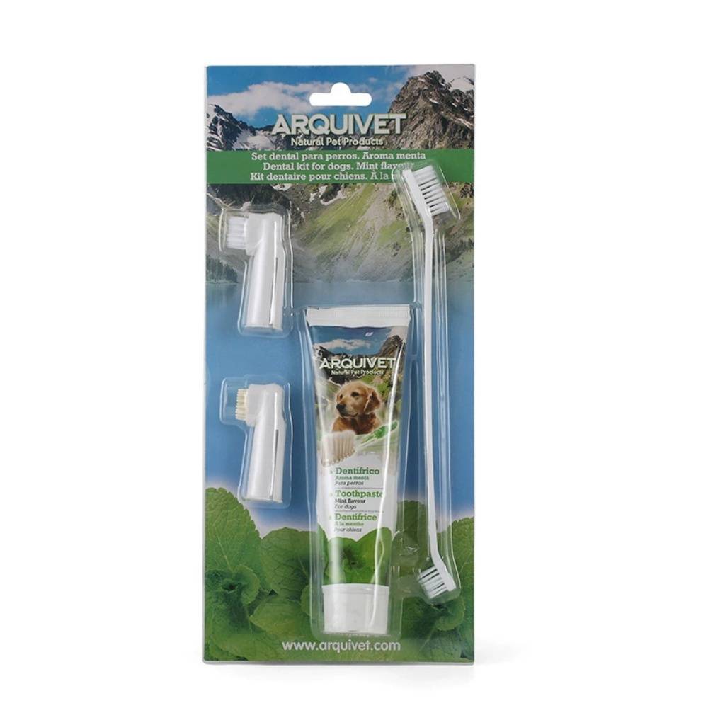 IntiMeg - Ensemble de brosses à dents pour chien Saveur menthe IntiMeg - Image 2