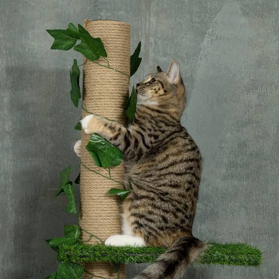 Arbre à chat plafond jute vert 37 x 21 x 242 cm - PANGIVO - Image 10