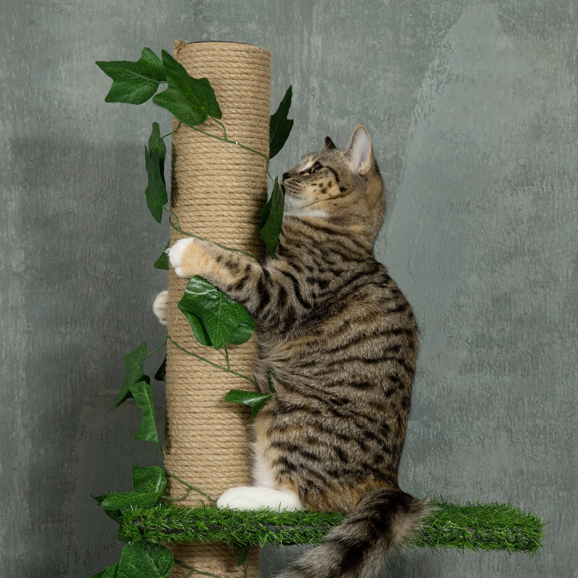 Arbre à chat plafond jute vert 37 x 21 x 242 cm - PANGIVO - Image 10