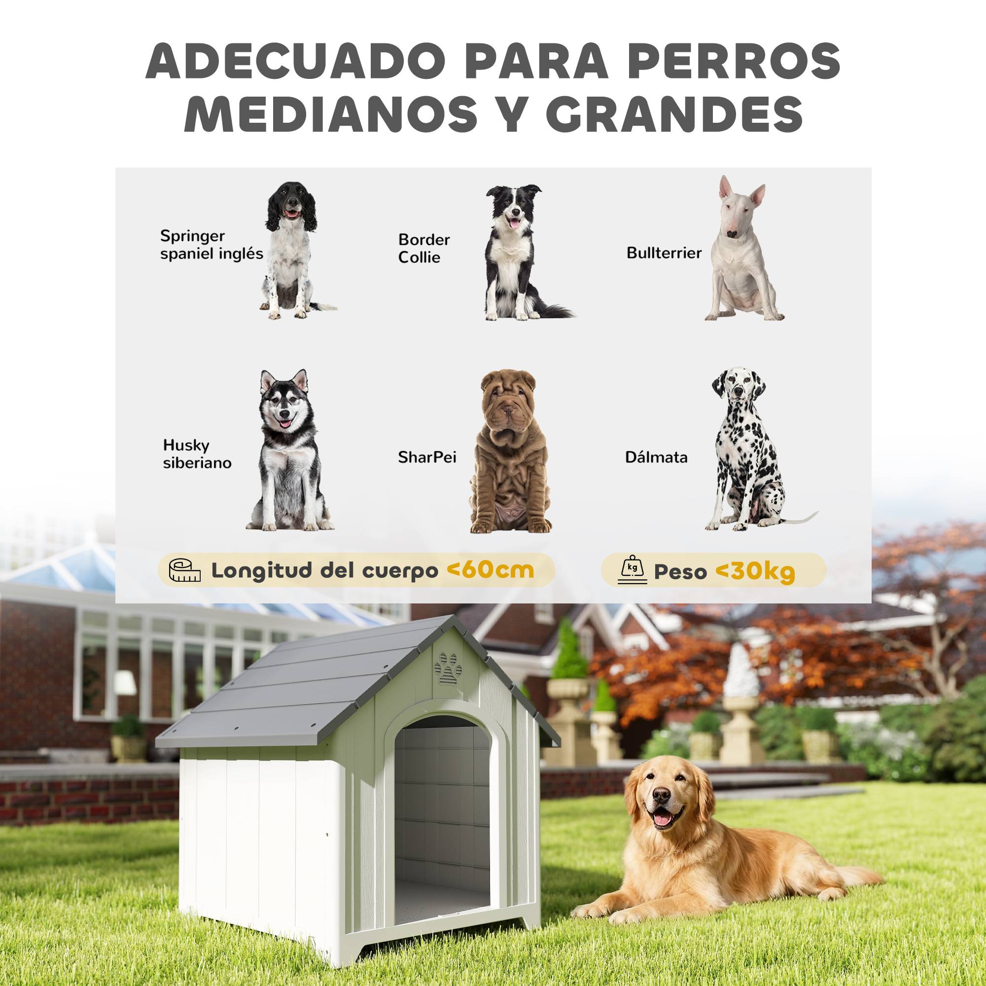 Niche d'extérieur pour chien, grande niche en plastique avec 2 fenêtres, base surélevée, piquets, grise - Image 7