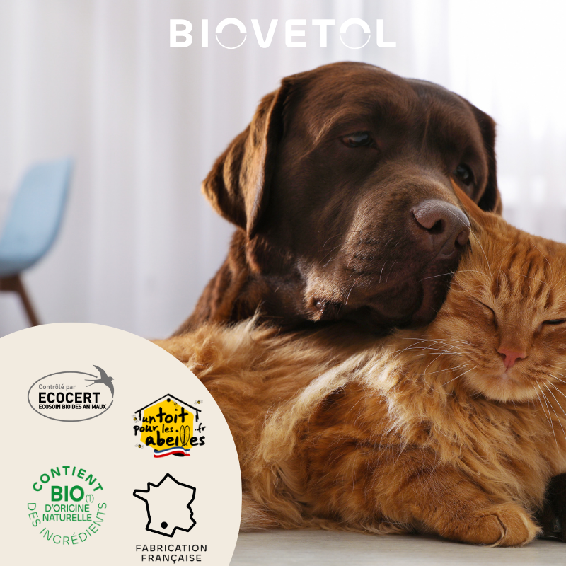 Biovetol - Lotion Anti-Démangeaisons Bio (recharge écologique) - Imagen 3