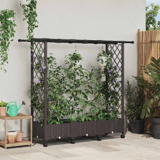 ComfortXL - Lit surélevé avec treillis toit polypropylène patio terrasse marron 164x40x127cm - ComfortXL Outdoor Living - Image 1