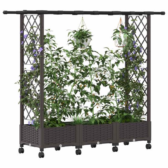 ComfortXL - Lit surélevé avec treillis toit polypropylène patio terrasse marron 164x40x127cm - ComfortXL Outdoor Living - Image 3