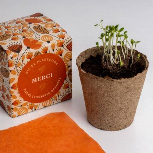 Kit de plantation Dites-le avec des Fleurs - Rouge - Imagen 1