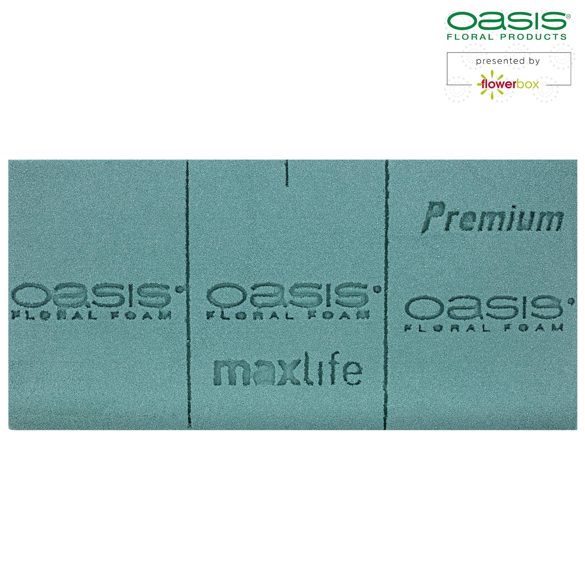 Flowerbox - 3x Original OASIS® Premium mousse florale pour une plus longue durée de vie des fleurs fraîches - 23 x 11 x 3,6 cm - mousse humide en forme de brique - Image 3