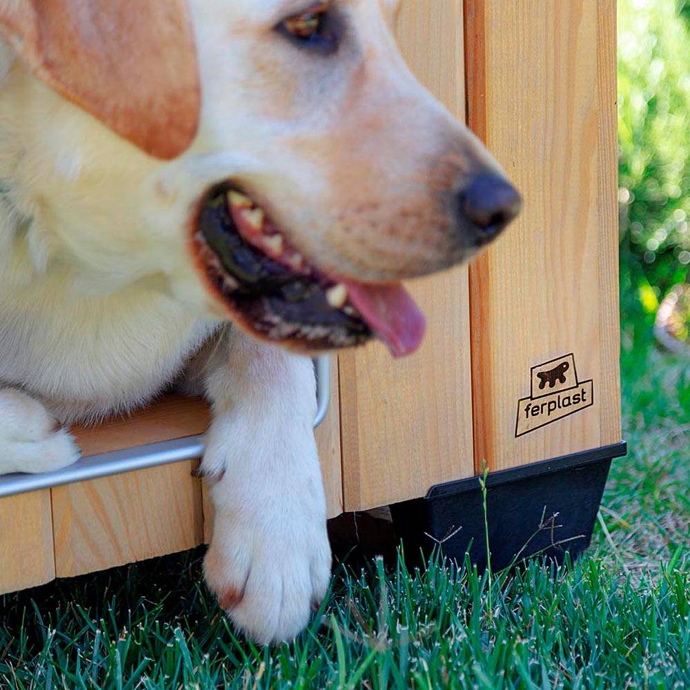 Ferplast - Ferplast Niche pour chiens pour l'extérieur DOMUS EXTRA LARGE en bois FSC, Pieds isolants en plastique, Grille pour l'aération, Porte anti-morsures en - Imagen 6
