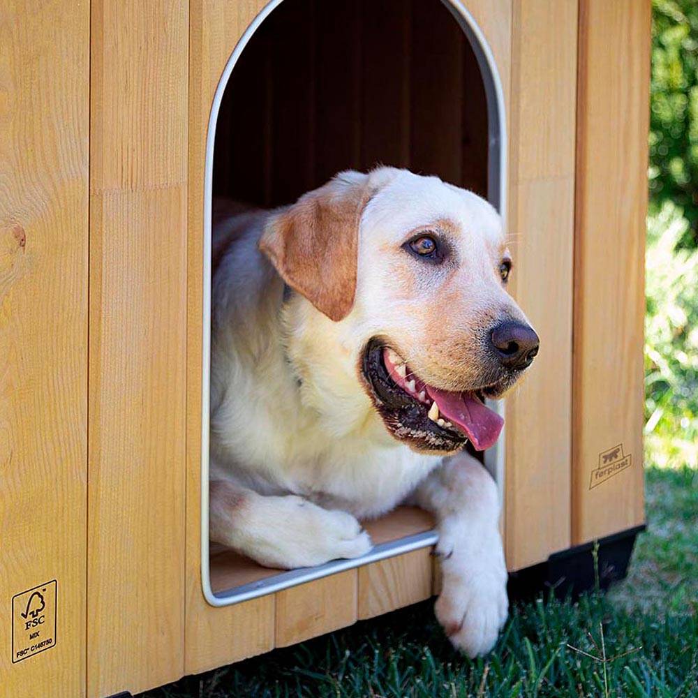 Ferplast - Ferplast Niche pour chiens pour l'extérieur DOMUS EXTRA LARGE en bois FSC, Pieds isolants en plastique, Grille pour l'aération, Porte anti-morsures en - Imagen 5