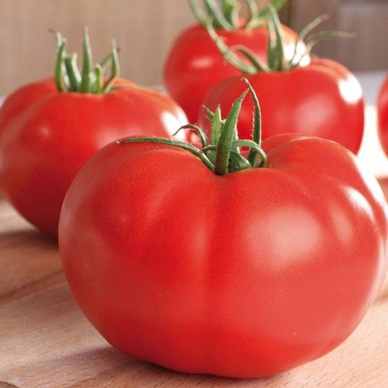 Tomate Supersteak F1 en plant - La Sélection du Chef Pot de 10 cm/11cm
