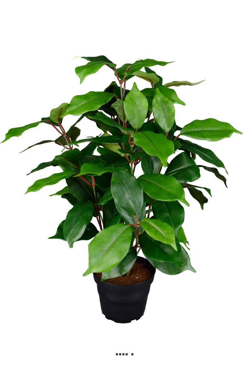 Artificielles - Ficus benjamina artificiel en pot H 40 cm, D 30 cm - Imagen 1