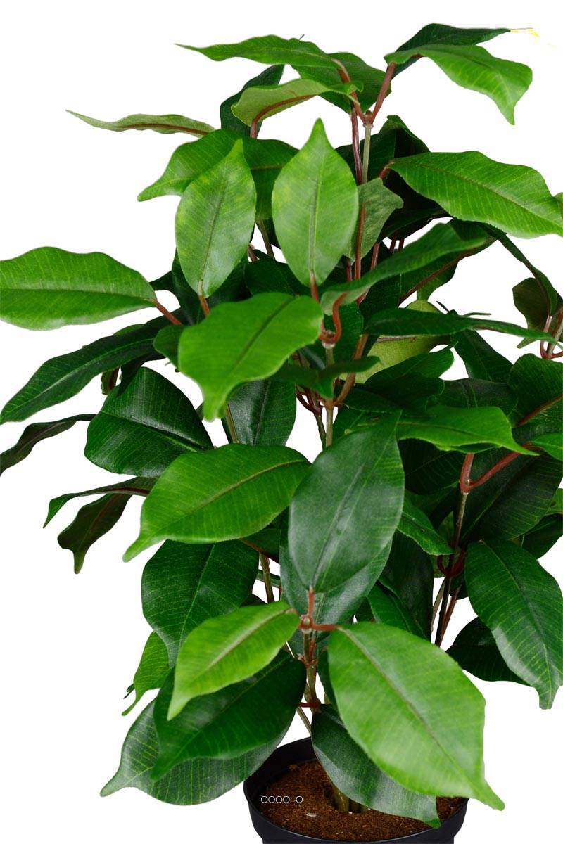 Artificielles - Ficus benjamina artificiel en pot H 40 cm, D 30 cm - Imagen 3