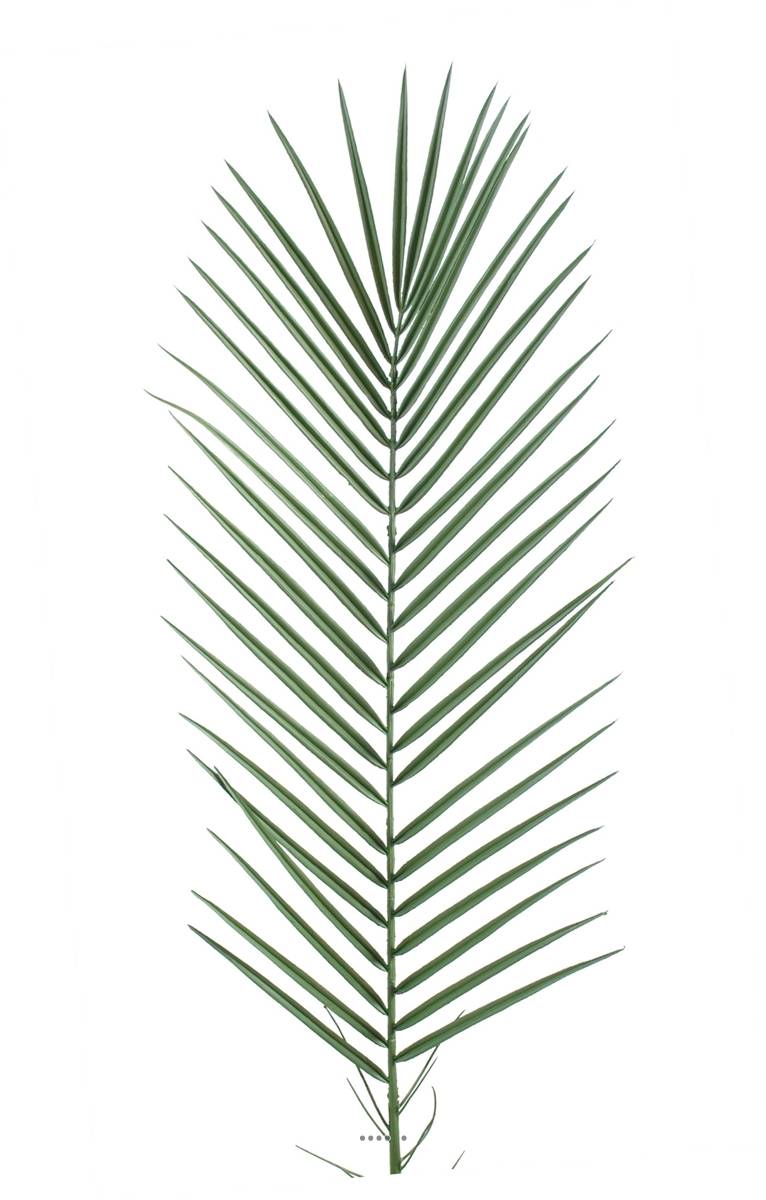 Artificielles - Feuille de Palmier Phoenix artificielle plastique PVC H 95 cm D 32 cm