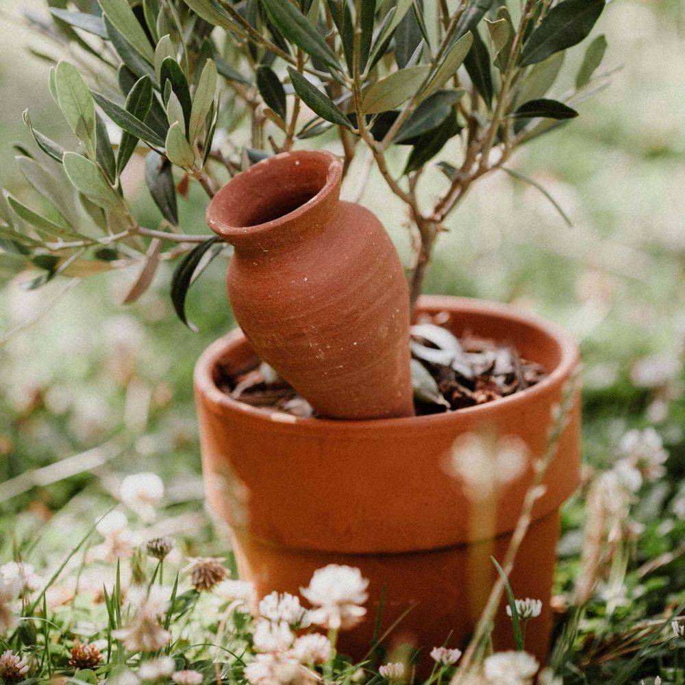 Ollas Lutton - Ollas à planter en argile Cône - Imagen 2