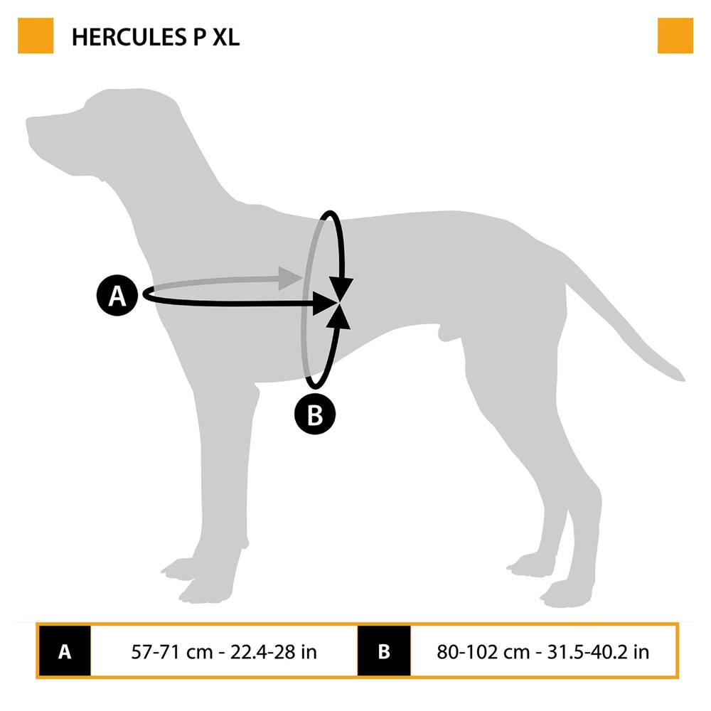 Ferplast - Harnais pour Chiens HERCULES EXTRA LARGE, Rembourré, Résistant, Anti-griffures, Visible dans l'Obscurité, avec Poignée - Imagen 2