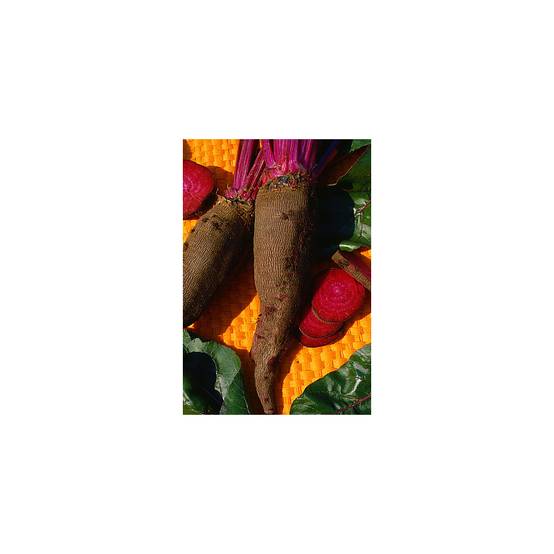 Betterave Crapaudine - Beta vulgaris le sachet de 250 graines environ (6g)