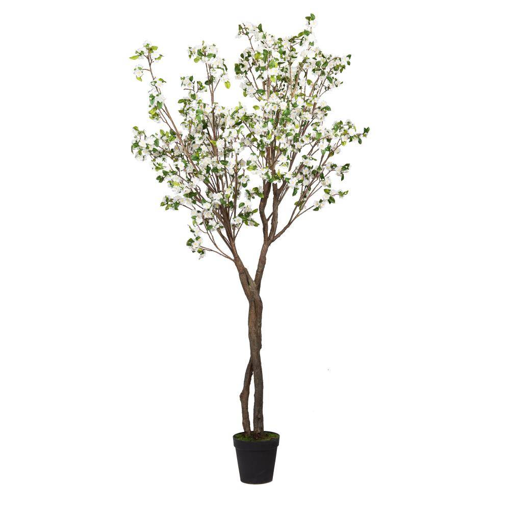 Cerisier Superba 280 cm blanche - Image 1