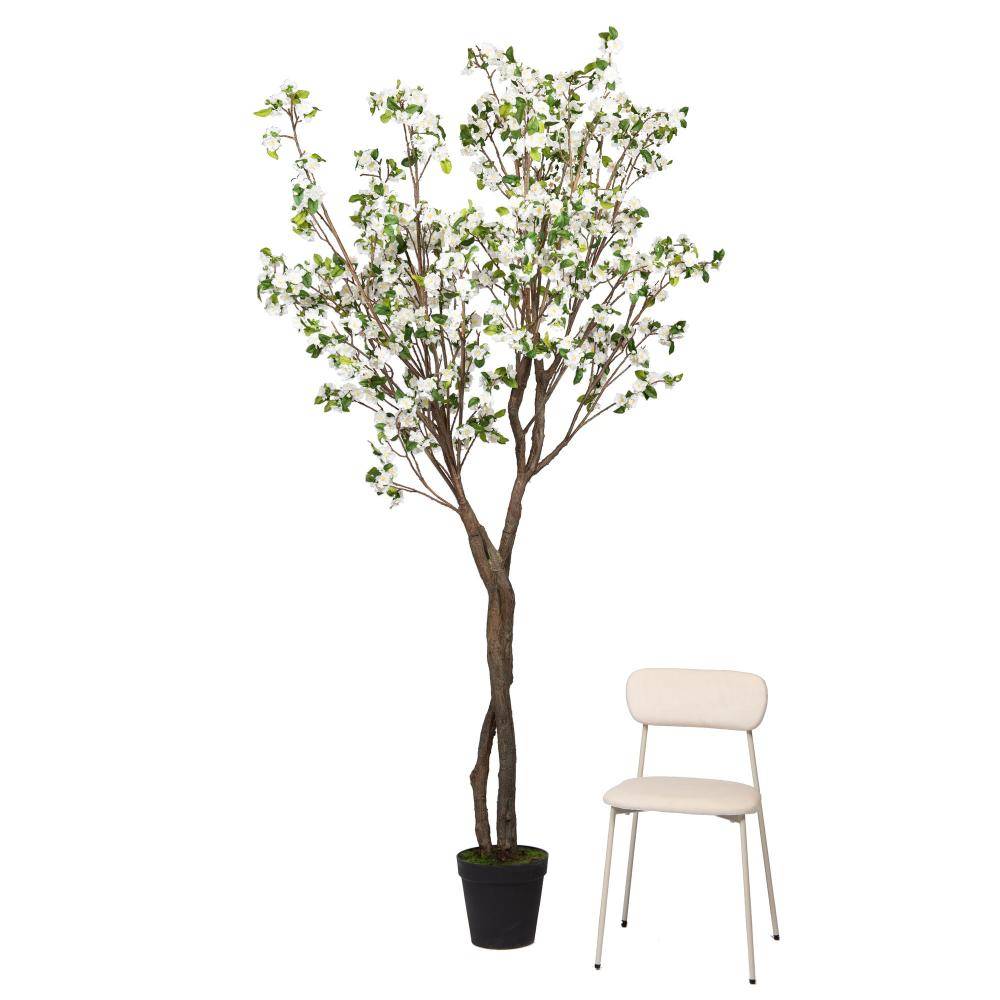 Cerisier Superba 280 cm blanche - Image 2