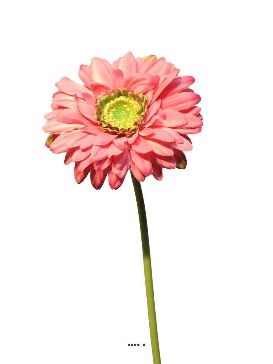 Artificielles - Gerbera artificiel, H 48 cm Rose soutenu - BEST - couleur: Rose soutenu - Imagen 2