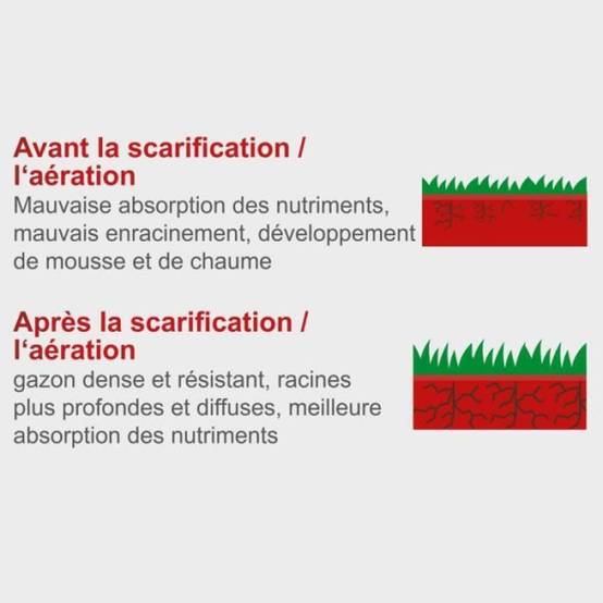 Scheppach - Scarificateur électrique SC32 - 32 cm - 1500 W - SCHEPPACH - Image 5