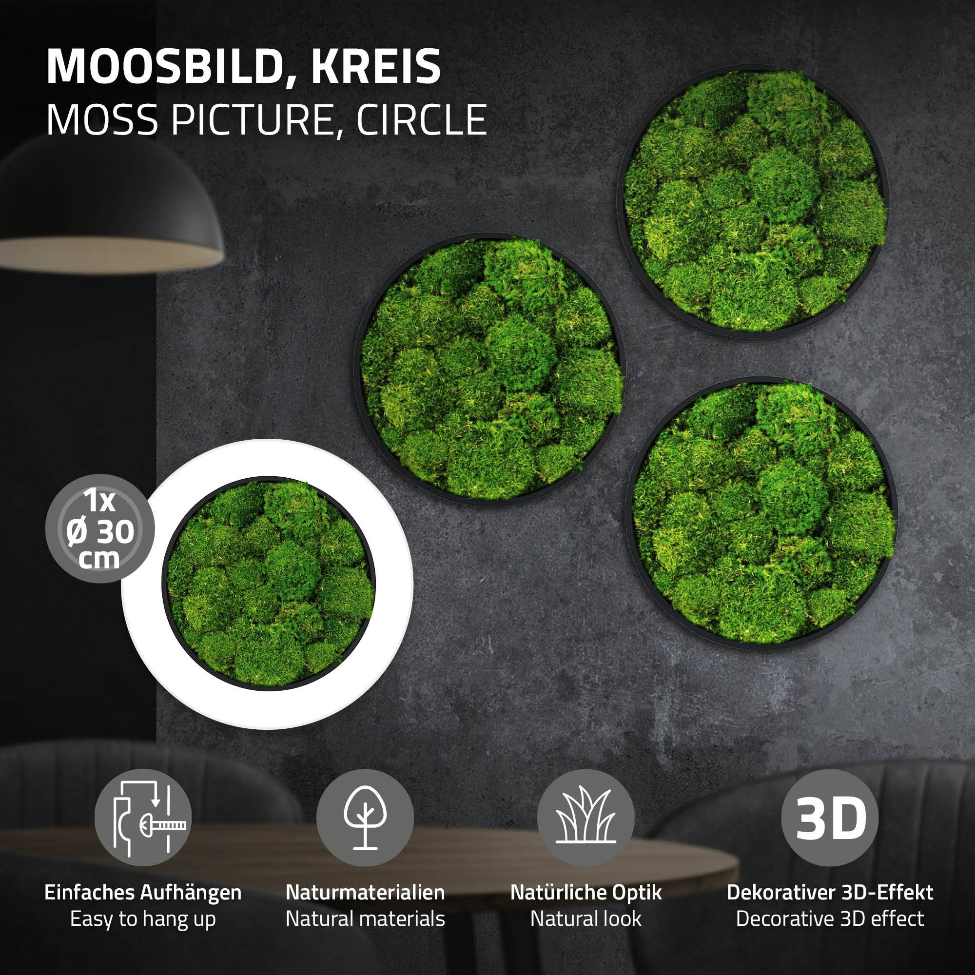 Ecd-Germany - Tableau en mousse boule stabilisée, ronde, Ø 30 cm, vert, décoration murale végétale d'intérieur, cadre en MDF, sans arrosage ni entretien, effet 3D - Image 2
