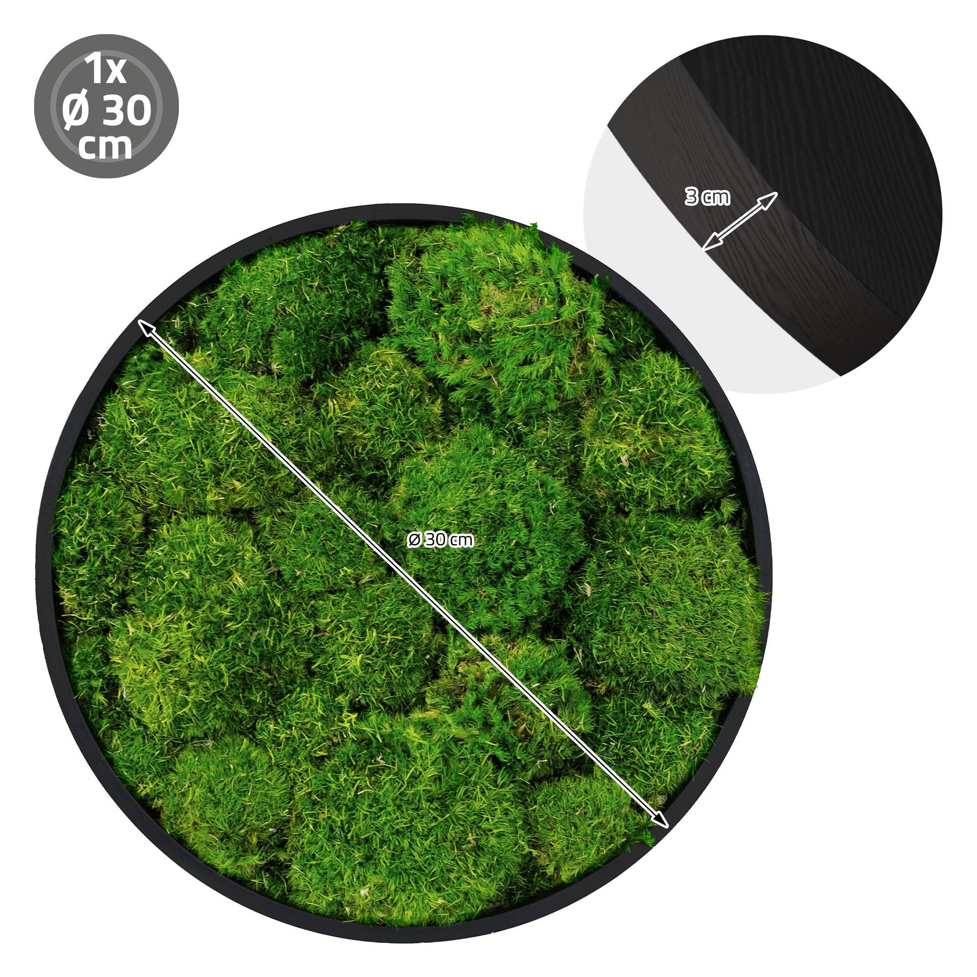 Ecd-Germany - Tableau en mousse boule stabilisée, ronde, Ø 30 cm, vert, décoration murale végétale d'intérieur, cadre en MDF, sans arrosage ni entretien, effet 3D - Image 8