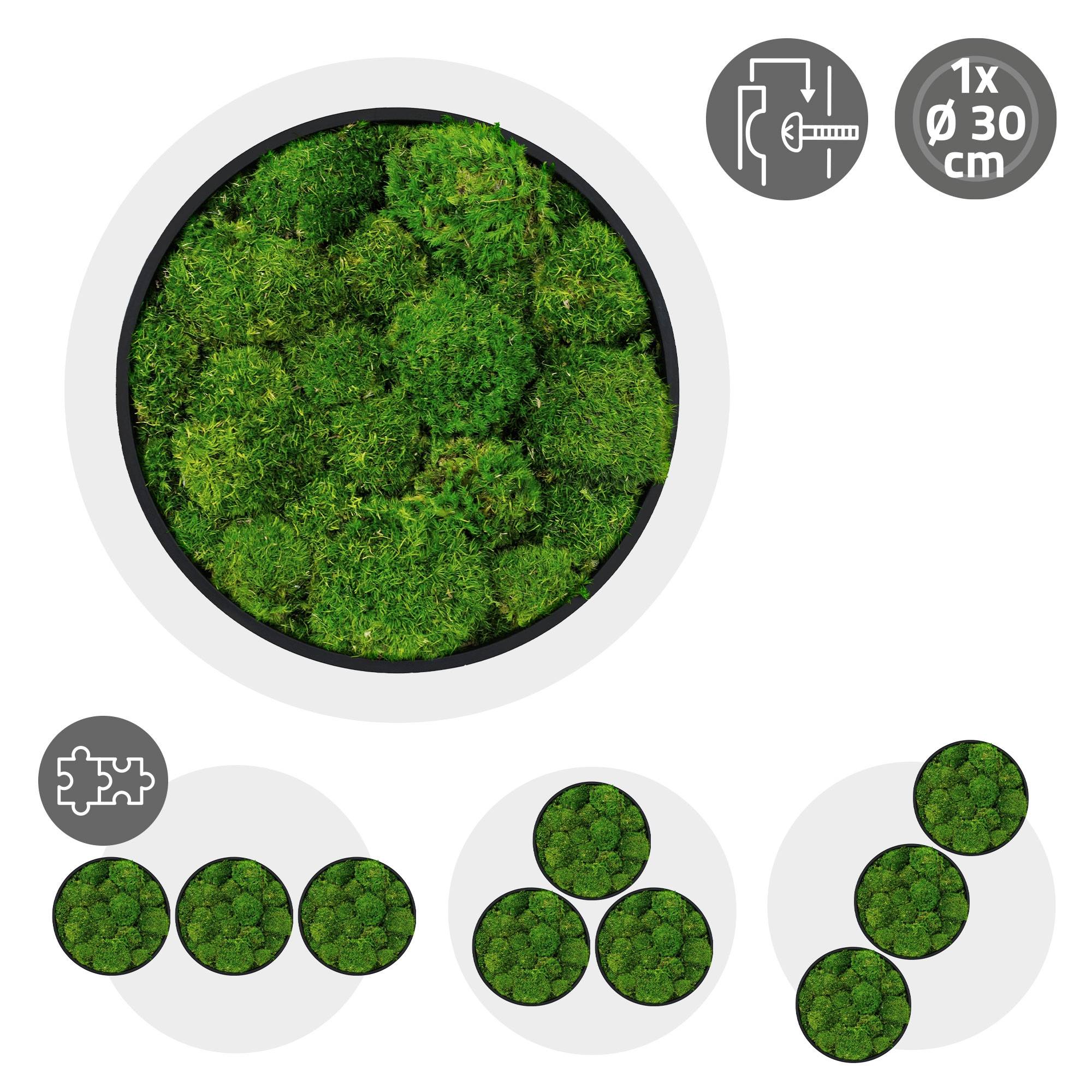 Ecd-Germany - Tableau en mousse boule stabilisée, ronde, Ø 30 cm, vert, décoration murale végétale d'intérieur, cadre en MDF, sans arrosage ni entretien, effet 3D - Image 10