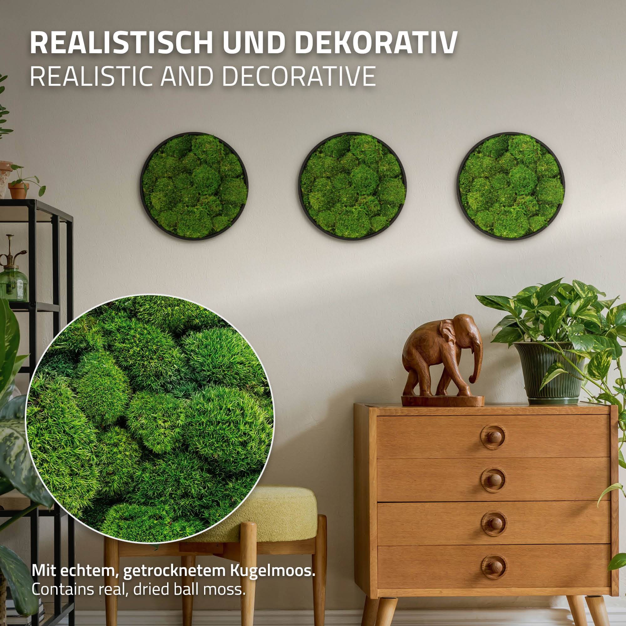 Ecd-Germany - Tableau en mousse boule stabilisée, ronde, Ø 30 cm, vert, décoration murale végétale d'intérieur, cadre en MDF, sans arrosage ni entretien, effet 3D - Image 3