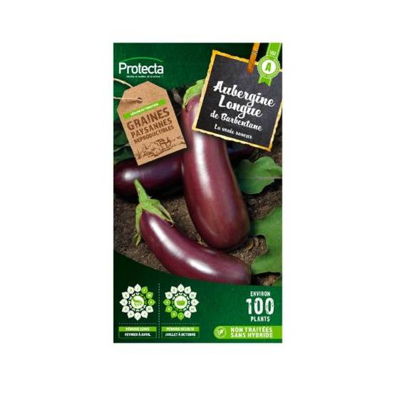 Protecta - Protecta - Aubergine violette de Barbentane