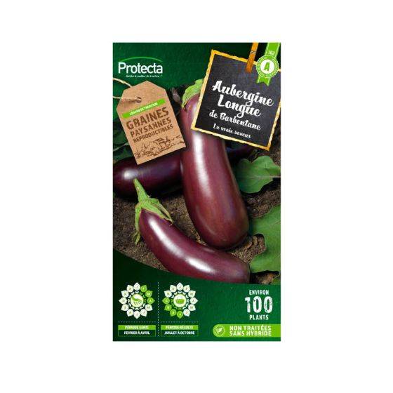 Protecta - Protecta - Aubergine violette de Barbentane