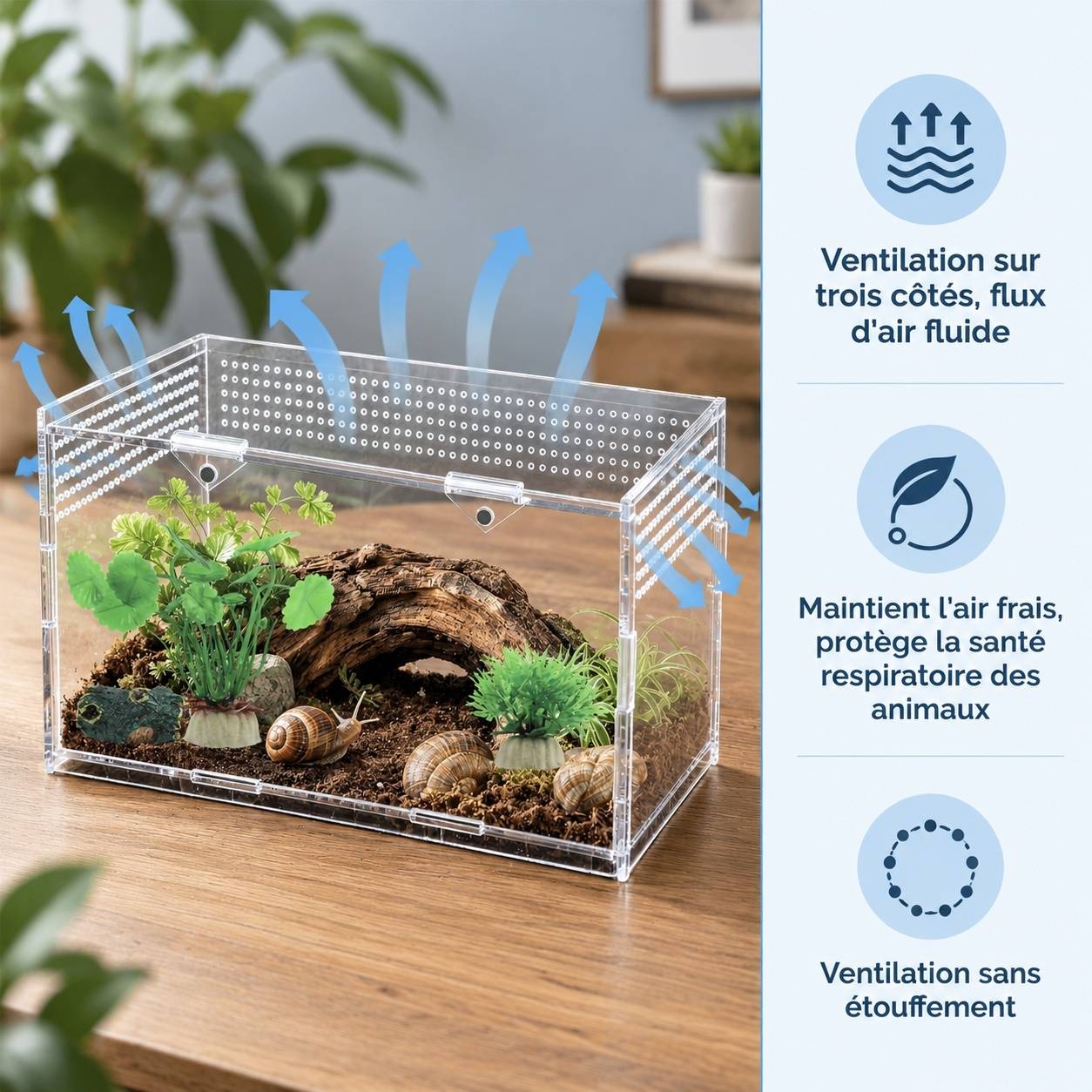 Kit Terrarium Acrylique Reptile 360° Vision Panoramique Facile à Installer Polyvalent - Image 6